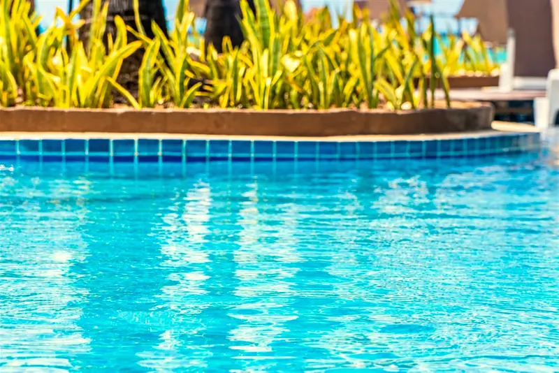 Água azul da piscina com folhagens na borda